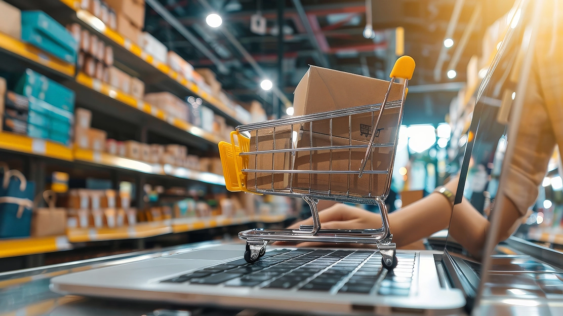 E-Ticaret Altyapı Seçimi